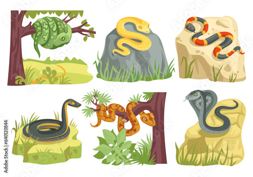 Snakes types. Scaly creeping reptiles with habitats elements. Cartoon nature creatures. Poisonous and suffocating animals. Kingsnake on stone. Python on tree branch. Splendid vector set