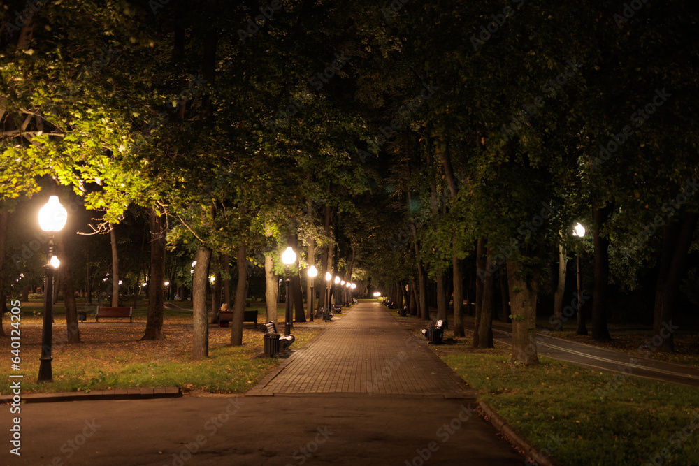 Obraz premium view of the night city, lights of lamps and park in the dark