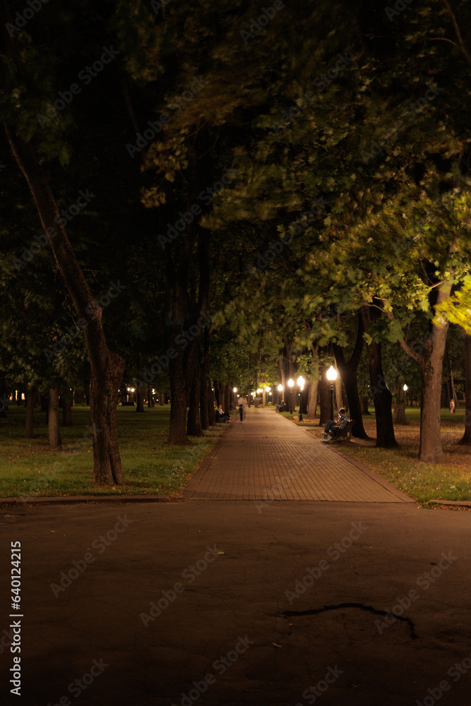 view of the night city, lights of lamps and park in the dark