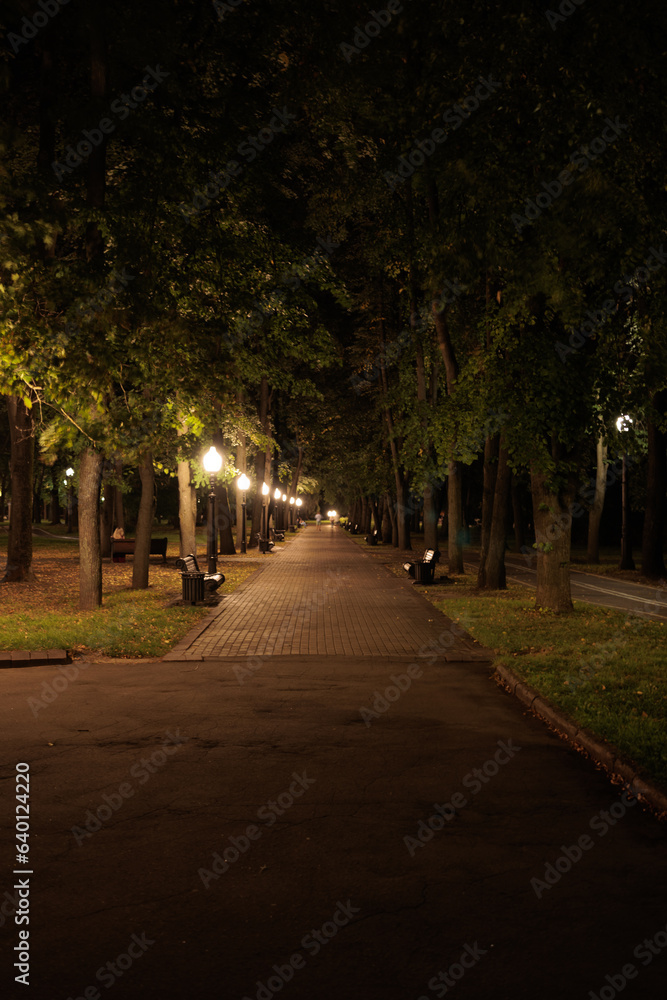 view of the night city, lights of lamps and park in the dark