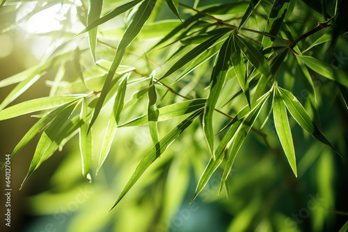 Sunlight filters through bamboo leaves  casting intricate shadows and revealing the fine veins and textures of each leaf