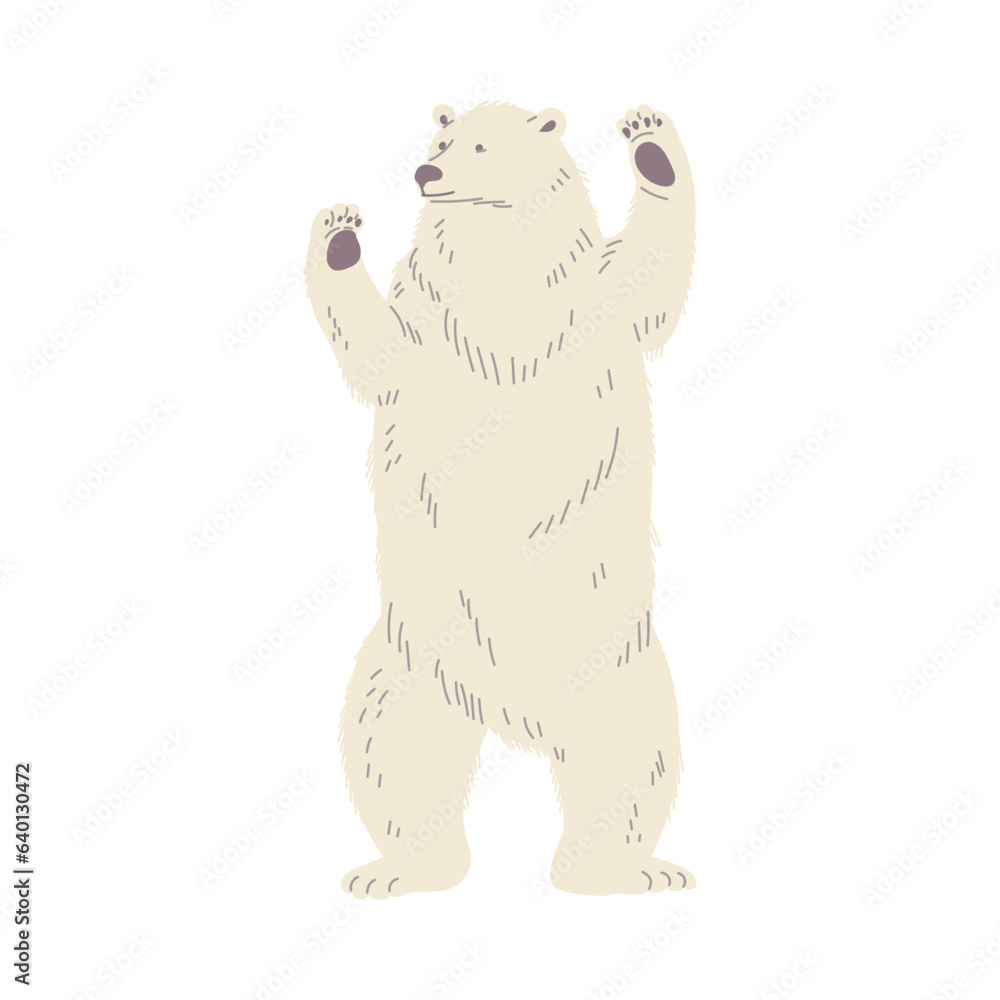 Big polar bear stands on hind legs flat style, vector illustration Big polar bear stands on hind legs flat style, vector illustration