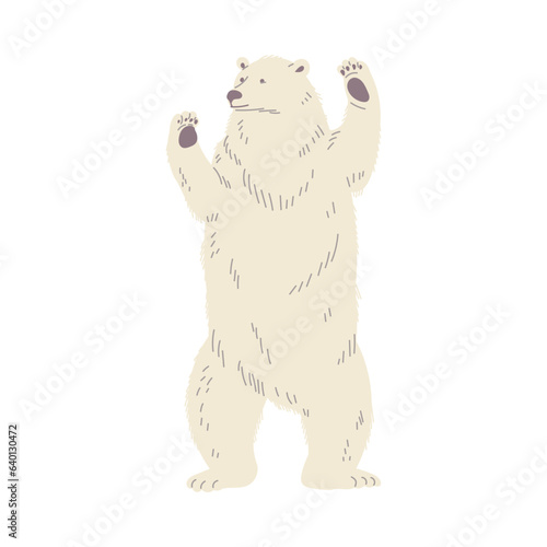 Big polar bear stands on hind legs flat style, vector illustration