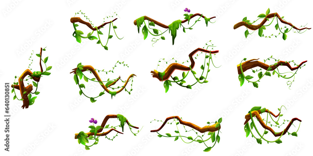 Jungle branch. Green vine. Tree foliage. Rainforest liana. Wood plant leaves. Forest vegetation trunk and stem. Wild greenery. Botanical creeper. Vector isolated nature elements set Jungle branch. Green vine. Tree foliage. Rainforest liana. Wood plant leaves. Forest vegetation trunk and stem. Wild greenery. Botanical creeper. Vector isolated nature elements set