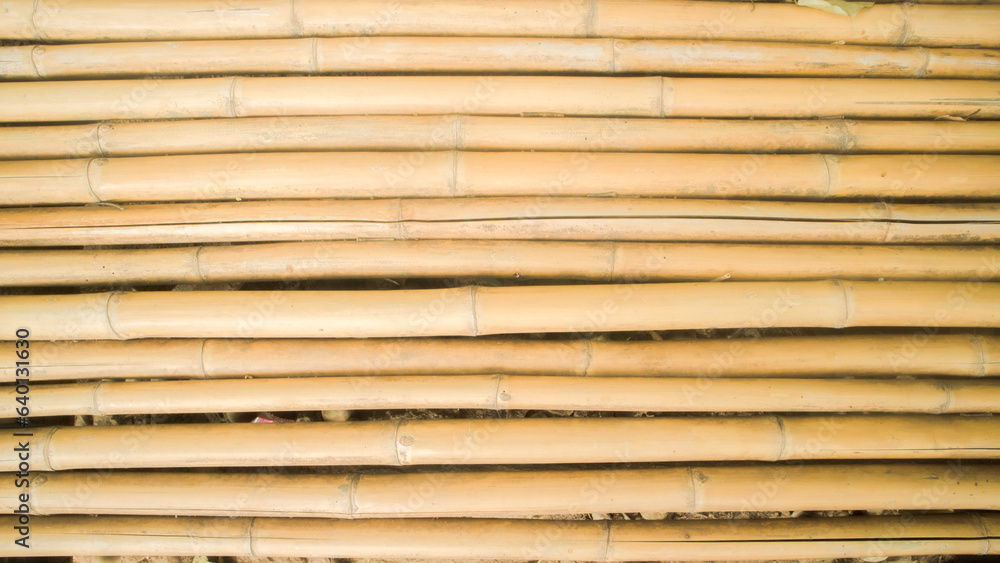 bamboo fence, Bamboo twig wall as abstract background . bamboo fence, Bamboo twig wall as abstract background .