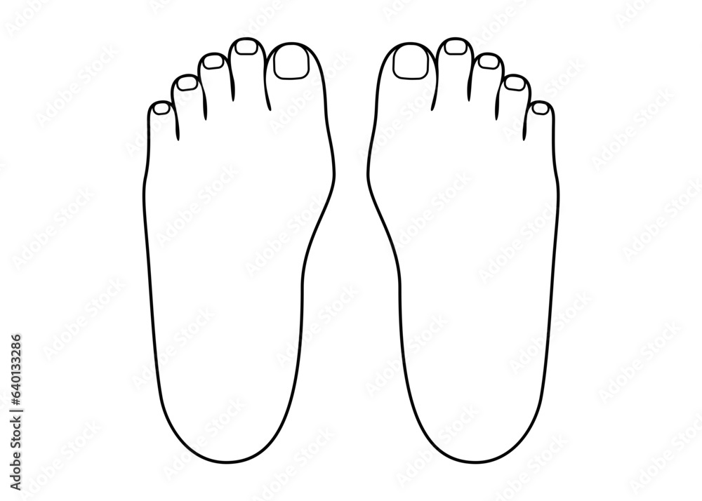 Simple vector line drawing illustration of two feet Simple vector line drawing illustration of two feet