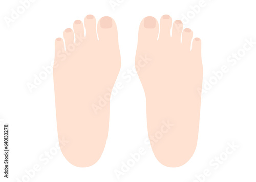 Simple vector illustration of two feet
