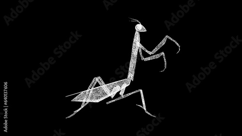 3D mantis on black bg. Wild animal in the nature habitat. Green praying mantis is in danger. Travel and tourism. For title, text, presentation. 3D animation.