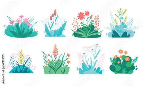 Modern meadow flower. Exotic botanical floral elements, flower bouquet with leaves and blossoms, nature green decor. Vector isolated set