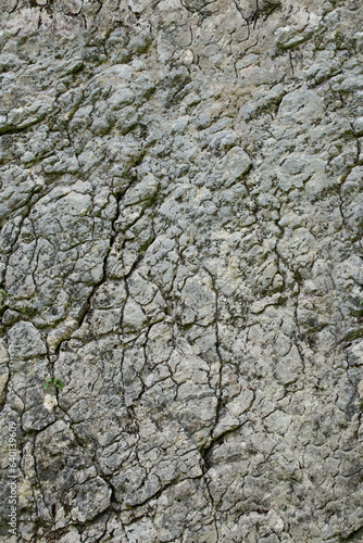 Seamless pattern of a mountain boulder, rock texture that can be repeated,
