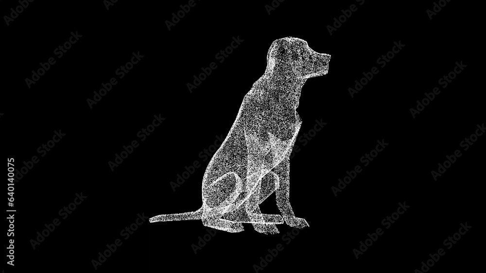 Fototapeta premium 3D sitting dog on black background. Gold labrador dog breathing with open mouth. For title, text, presentation. 3d animation.