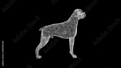 3D dog on black background. For title  text  presentation. 3d animation.