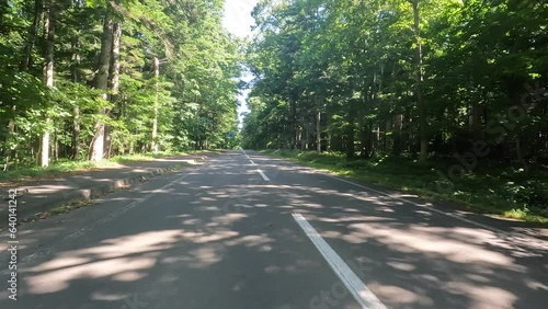 車載映像 木漏れ日の森  北海道弟子屈町