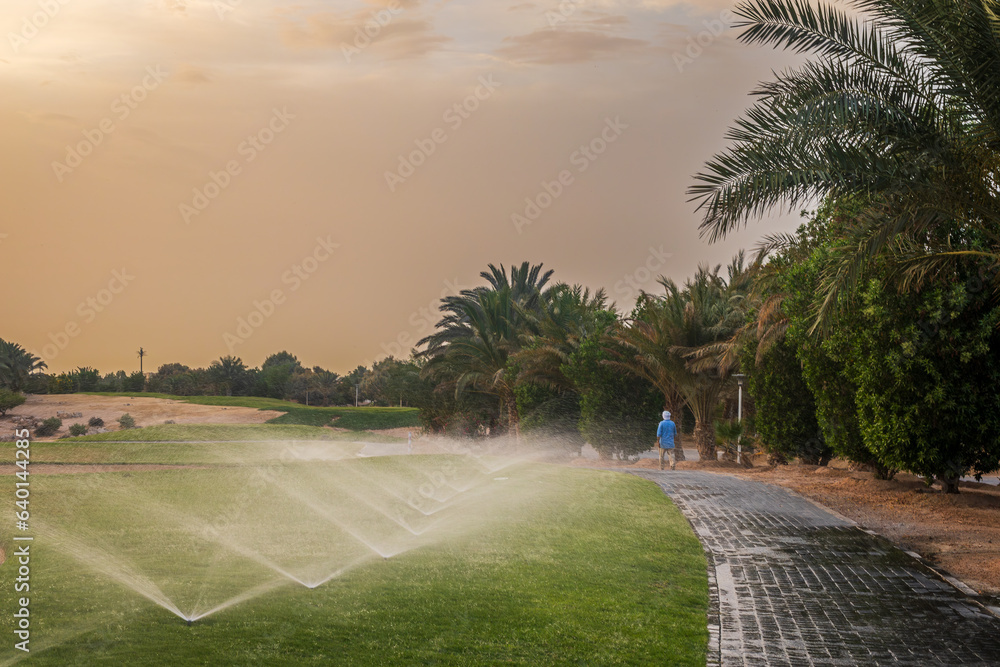 Obraz premium watering the golf field during sunset