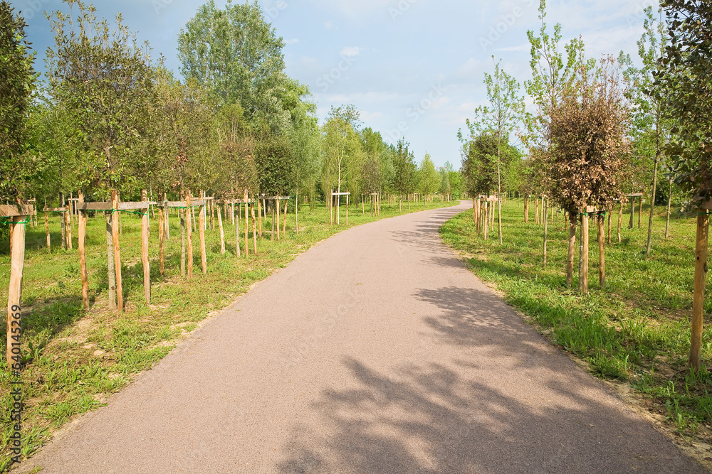 Public park and natural green land for leisure activity - City life concept