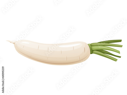 Daikon radish with green stem. Horseradish rhizome plant.