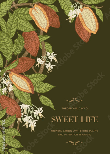 Frame with cocoa plant. Fruits, flowers, leaves on a dark background.