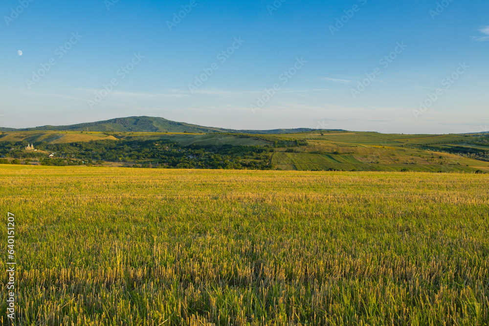 A magical evening atmosphere during the summer. A beautiful plain in the fields of Moldova A magical evening atmosphere during the summer. A beautiful plain in the fields of Moldova
