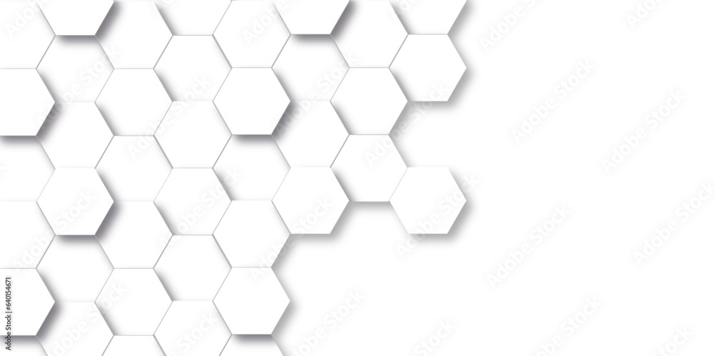 Background with hexagons . Abstract background with lines . white texture background . white and hexagon abstract background. white paper texture and futuristic business . Background with hexagons . Abstract background with lines . white texture background . white and hexagon abstract background. white paper texture and futuristic business .