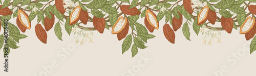 Seamless border with leaves and fruits of cocoa plant. Horizontal creeper. Vector botanical illustration. Colorful