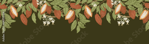 Seamless border with cocoa leaves and fruits on a dark background. Horizontal. Vector vintage illustration.