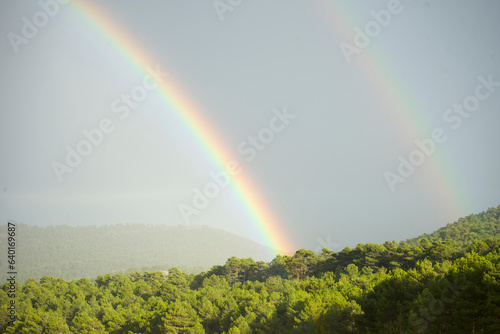 Fototapeta Naklejka Na Ścianę i Meble -  Rainbow in the forest. Rainbow coming out between the trees after the storm
