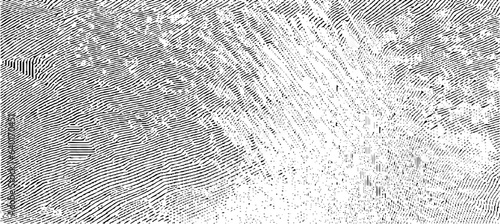 Wallpaper Mural Monochrome texture composed of irregular graphic elements. Distressed uneven grunge background. Abstract vector illustration. Overlay for interesting effect and depth. Isolated on white background. Torontodigital.ca