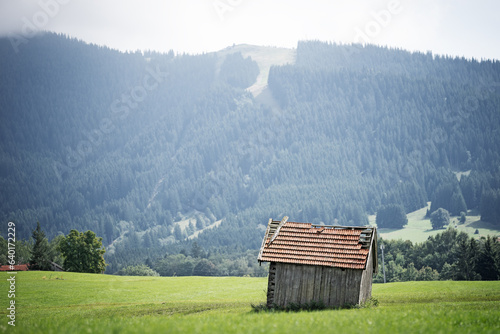 Holzhütte vor Bergpanorama in den bayerischen Alpen 