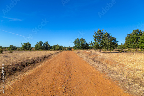 Rural road in the Spanish