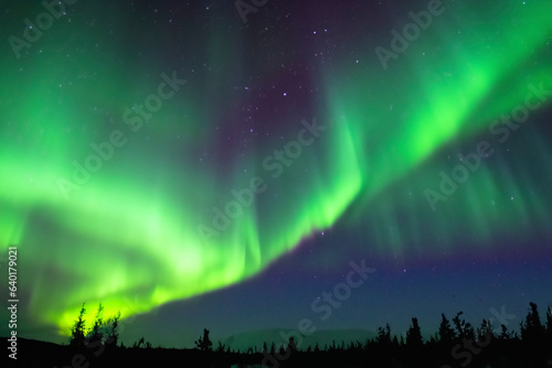 Northern Lights. Aurora. Iceland. Moment of greatest activity. Northern lights over the sea  snowy mountains. Starry sky. Winter landscape with aurora. Tree silhouette. Villages silhouette. 2023.