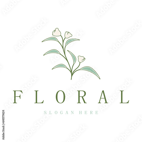 Elegant floral and leaf frame. Delicate botanical vector illustration for labels, spas, corporate identity, and wedding invitations