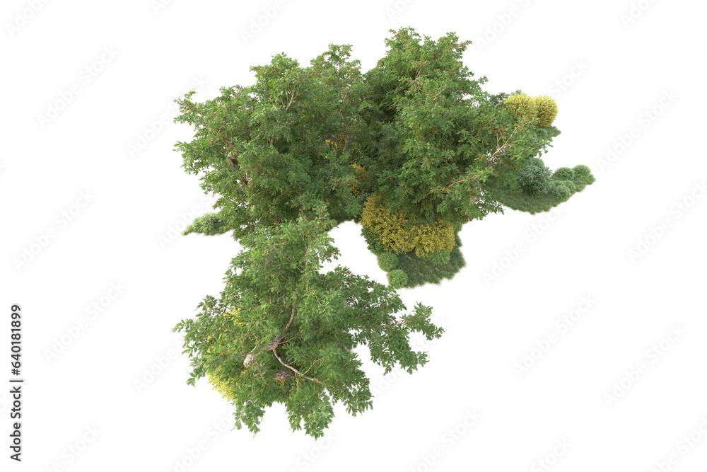Obraz premium Landscape isolated on transparent background 3d rendering illustration