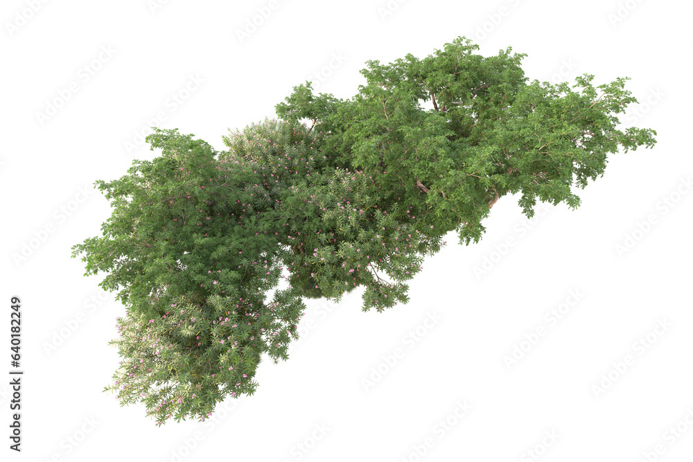 Landscape isolated on transparent background 3d rendering illustration Landscape isolated on transparent background 3d rendering illustration