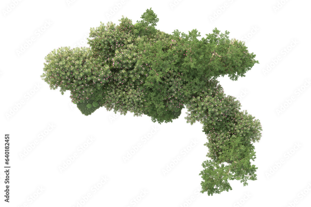 Fototapeta premium Landscape isolated on transparent background 3d rendering illustration