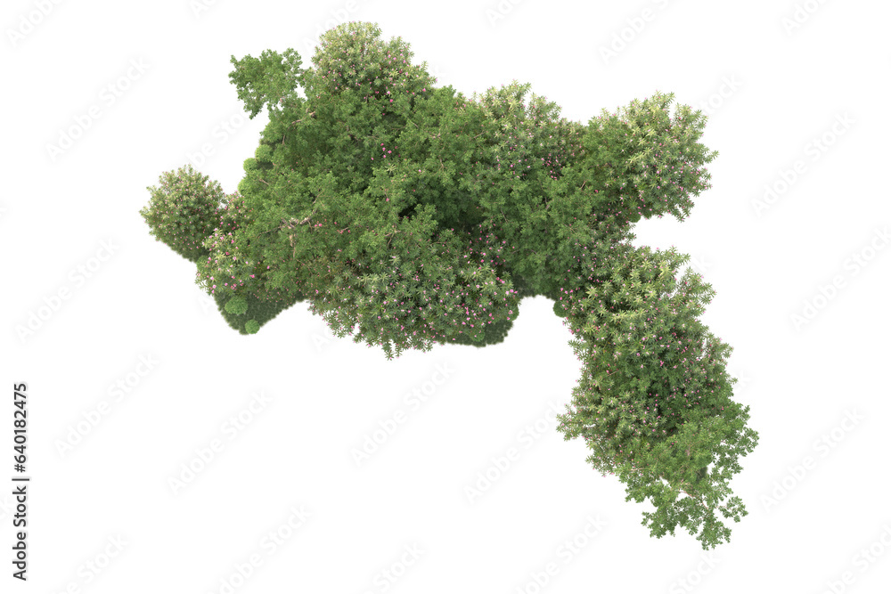 Landscape isolated on transparent background 3d rendering illustration