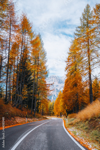 Autumn mountain road  landscape in The Dolomites South Tyrol Italy