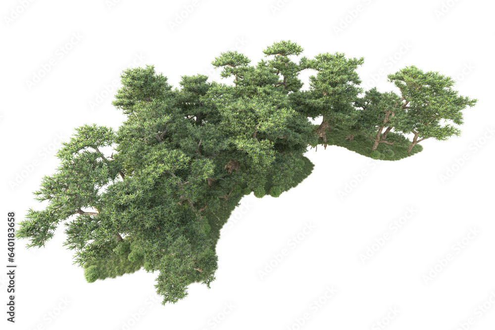 Obraz premium Realistic forest isolated on transparent background. 3d rendering - illustration