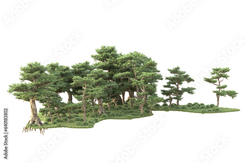 Realistic forest isolated on transparent background. 3d rendering - illustration