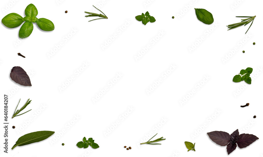 Frame/ border of spices and mediterranean herbs: basil, rosemary ...