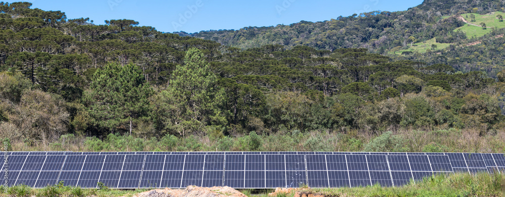 Fototapeta premium Solar panels with forest in the background.