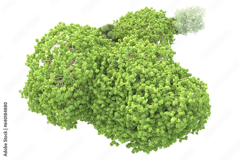 Landscape isolated on transparent background. 3d rendering - illustration