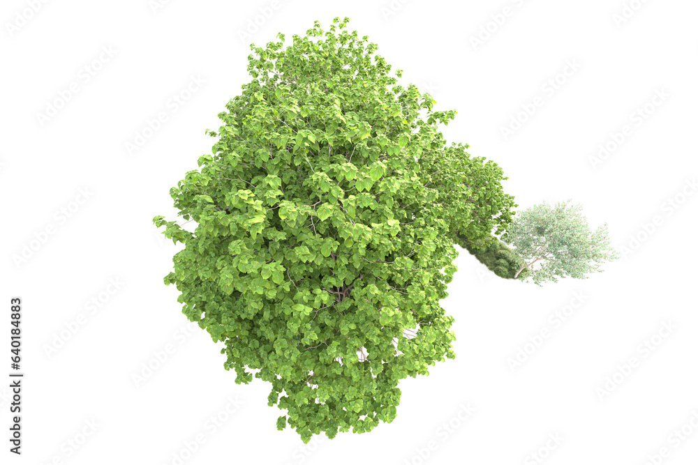 Fototapeta premium Landscape isolated on transparent background. 3d rendering - illustration