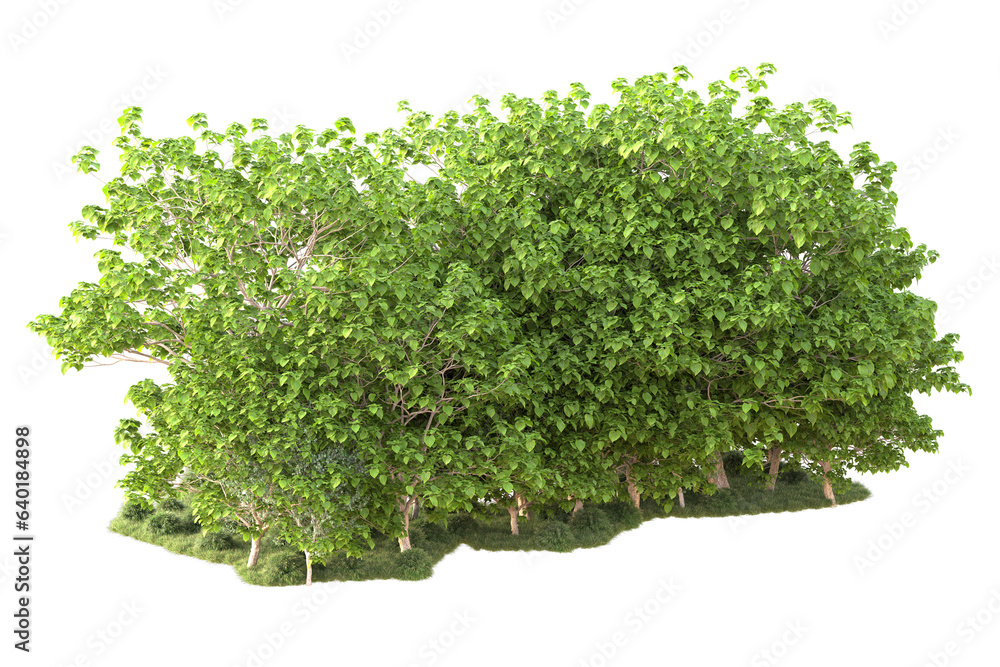 Obraz premium Landscape isolated on transparent background. 3d rendering - illustration