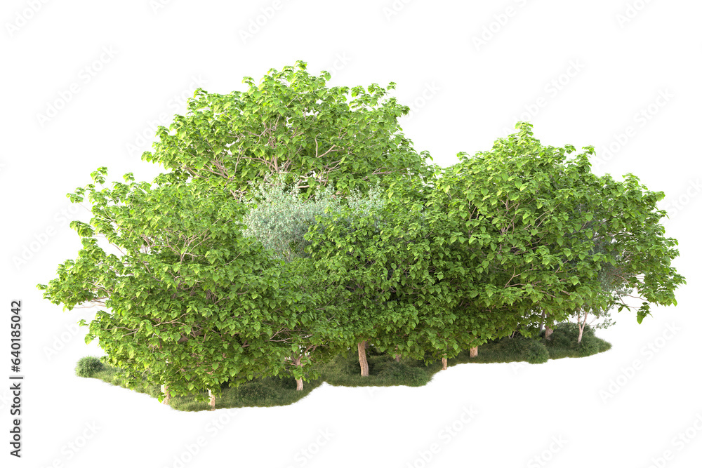 Landscape isolated on transparent background. 3d rendering - illustration Landscape isolated on transparent background. 3d rendering - illustration