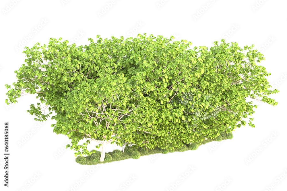 Landscape isolated on transparent background. 3d rendering - illustration Landscape isolated on transparent background. 3d rendering - illustration