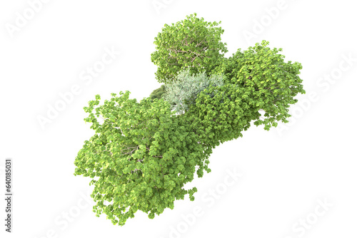 Landscape isolated on transparent background. 3d rendering - illustration