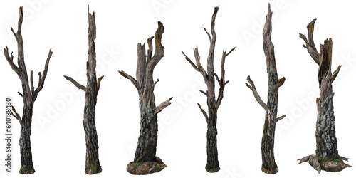Set of Dead tree stump or Old tree trunk with isolated on transparent background. PNG file, 3D rendering illustration, Clip art and cut out