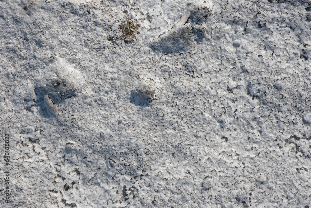 Backgrounds made of rocks and sea salts formed from minerals and above them Backgrounds made of rocks and sea salts formed from minerals and above them