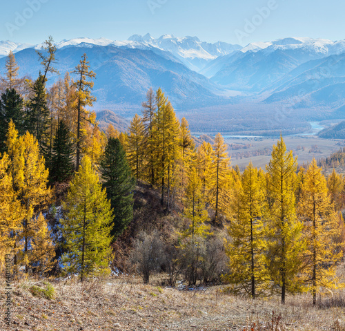 Autumn view  forest and mountains