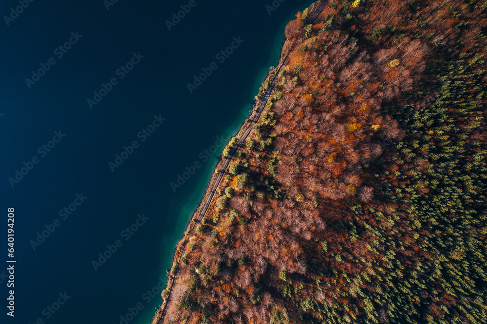 Aerial Top down texture Autumn Trees with turquoise lake, germany austria italy